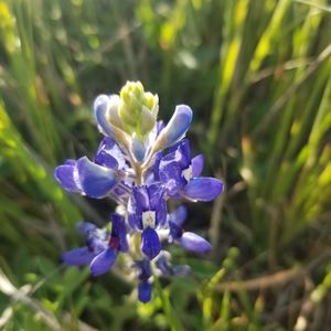 Make Me An Offer! If You Like Something Let Me Know!